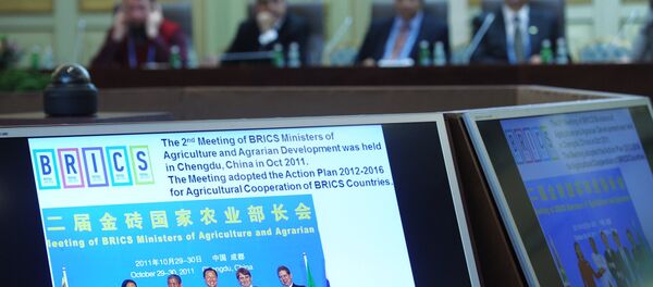 Meeting of the BRICS Agriculture and Agrarian Development Ministers Meeting of the BRICS Agriculture and Agrarian Development Ministers - Sputnik International