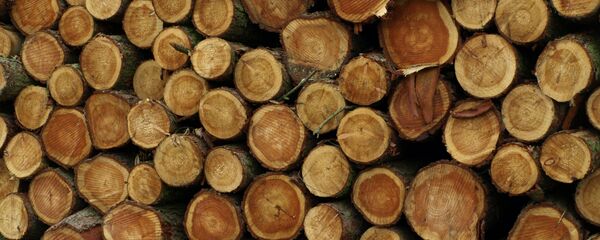 Roadside Timber Stack Roadside Timber Stack - Sputnik International
