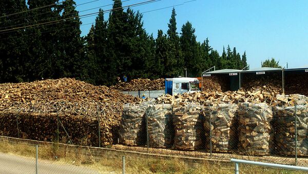 Forestry production. Greece - Sputnik International