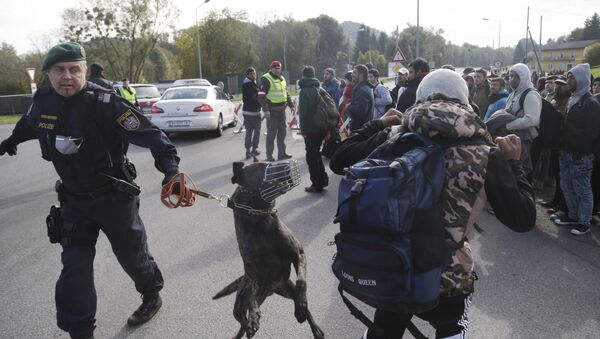 An Austrian policeman with a dog tries to maintain order after migrants left a camp on the border with Slovenia in Spielfeld, Austria, Thursday, Oct. 22, 2015 - Sputnik International