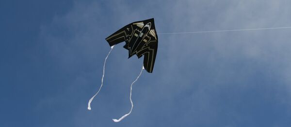 Stealth Bomber - Sputnik International
