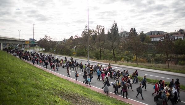 Refugees and migrants walk on a road as they leave Sentilj, Slovenia, on their way to cross the Slovenian-Austrian border on October 23, 2015 - Sputnik International