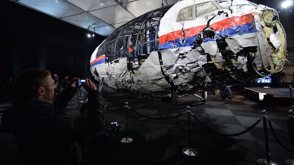 The wrecked cockipt of the Malaysia Airlines flight MH17 - Sputnik International