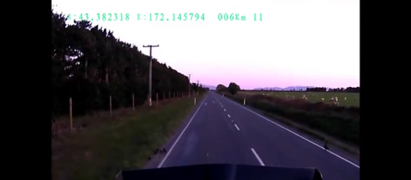 36 wheeler stops for ducklings. - Sputnik International