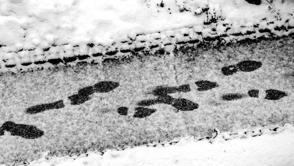 Footprints in the snow - Sputnik International
