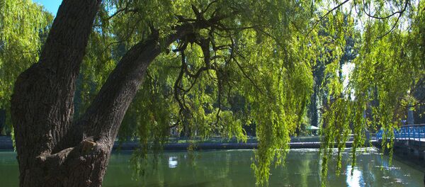 Park in Ternopil, Ukraine Park in Ternopil, Ukraine - Sputnik International