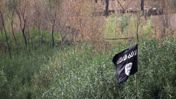 May 29, 2015, a black flag used by the Islamic State group extremists flutters over their combat positions on the front line with Iraqi security forces and allied Shiite militiamen and Sunni tribal fighters on the outside of Ramadi, the capital of Iraq's Anbar province, 70 miles (115 kilometers) west of Baghdad, Iraq - Sputnik International