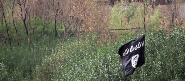 May 29, 2015, a black flag used by the Islamic State group extremists flutters over their combat positions on the front line with Iraqi security forces and allied Shiite militiamen and Sunni tribal fighters on the outside of Ramadi, the capital of Iraq's Anbar province, 70 miles (115 kilometers) west of Baghdad, Iraq - Sputnik International