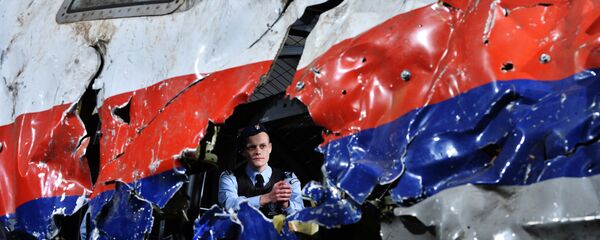 Реконструкция крушения лайнера Boeing 777 Malaysia Airlines (рейс MH17) на Востоке Украины 17 июля 2014 года на военной базе Гилзе-Рейен в Нидерландах Реконструкция крушения лайнера Boeing 777 Malaysia Airlines (рейс MH17) на Востоке Украины 17 июля 2014 года на военной базе Гилзе-Рейен в Нидерландах - Sputnik International