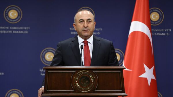 Turkish Former Foreign Minister Mevlut Cavusoglu - Sputnik International