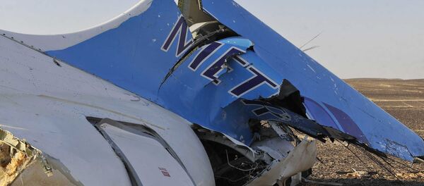 This image released by the Prime Minister's office shows the tail of a Metrojet plane that crashed in Hassana Egypt, Friday, Oct. 31, 2015 - Sputnik International