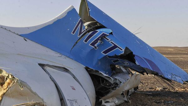 This photo released by the Prime Minister's office shows the tail of a Metrojet plane that crashed in Hassana, Egypt on Saturday, Oct. 31, 2015 - Sputnik International