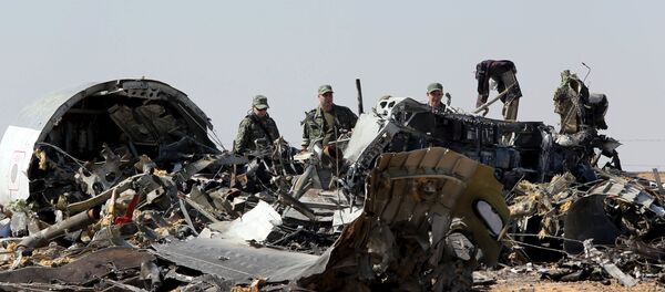Military investigators from Russia stand near the debris of a Russian airliner at the site of its crash at the Hassana area in Arish city, north Egypt, November 1, 2015 Military investigators from Russia stand near the debris of a Russian airliner at the site of its crash at the Hassana area in Arish city, north Egypt, November 1, 2015 - Sputnik International