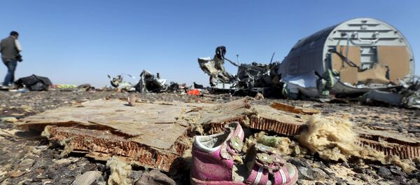 A child's shoe is seen in front of debris from a Russian airliner which crashed at the Hassana area in Arish city, north Egypt, November 1, 2015 - Sputnik International