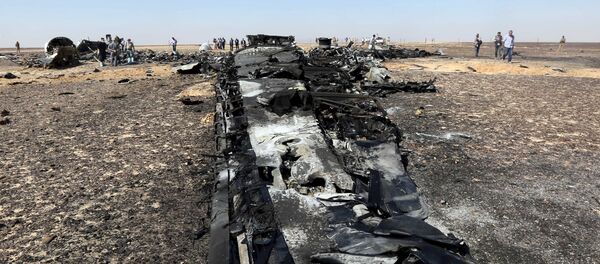 Military investigators from Egypt and Russia stand near the debris of a Russian airliner at the site of its crash at the Hassana area in Arish city, north Egypt, November 1, 2015 Military investigators from Egypt and Russia stand near the debris of a Russian airliner at the site of its crash at the Hassana area in Arish city, north Egypt, November 1, 2015 - Sputnik International
