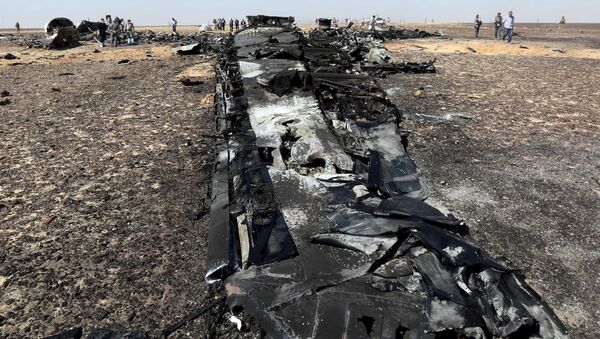 Military investigators from Egypt and Russia stand near the debris of a Russian airliner at the site of its crash at the Hassana area in Arish city, north Egypt, November 1, 2015 - Sputnik International