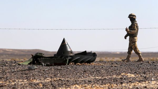An Egyptian army soldier stands guard near debris from a Russian airliner which crashed at the Hassana area in Arish city, north Egypt, November 1, 2015 - Sputnik International