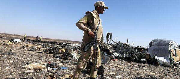 An Egyptian army soldier stands guard near debris from a Russian airliner at its crash siteat the Hassana area in Arish city, north Egypt, November 1, 2015 An Egyptian army soldier stands guard near debris from a Russian airliner at its crash siteat the Hassana area in Arish city, north Egypt, November 1, 2015 - Sputnik International