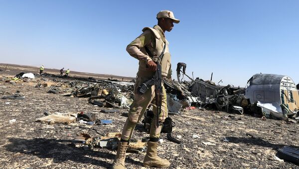 An Egyptian army soldier stands guard near debris from a Russian airliner at its crash siteat the Hassana area in Arish city, north Egypt, November 1, 2015 - Sputnik International
