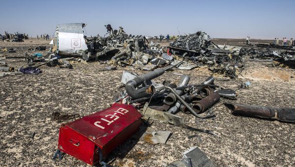 Debris belonging to the A321 Russian airliner are seen at the site of the crash in Wadi el-Zolmat, a mountainous area in Egypt's Sinai Peninsula on November 1, 2015 - Sputnik International