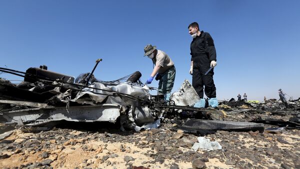 Military investigators from Russia check debris from a Russian airliner at its crash site at the Hassana area in Arish city, north Egypt, November 1, 2015 - Sputnik International