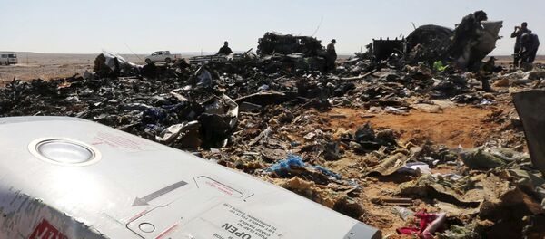 The remains of a Russian airliner are inspected by military investigators at the crash site at the al-Hasanah area in El Arish city, north Egypt, November 1, 2015 The remains of a Russian airliner are inspected by military investigators at the crash site at the al-Hasanah area in El Arish city, north Egypt, November 1, 2015 - Sputnik International