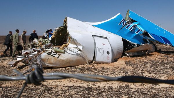 The wreckage of Kogalymavia's Airbus A321 passenger airliner - Sputnik International