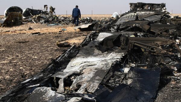 The fragments of the Airbus A321 that was carrying out Kogalymavia Flight 9268 from Sharm el-Sheikh to St. Petersburg, on the crash site 100 km south of El Arish in the northern Sinai Peninsula - Sputnik International