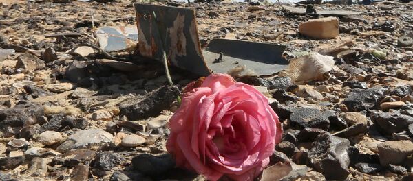 A flower is seen near debris at the crash site of a Russian airliner in al-Hasanah area in El Arish city, north Egypt, November 1, 2015. - Sputnik International