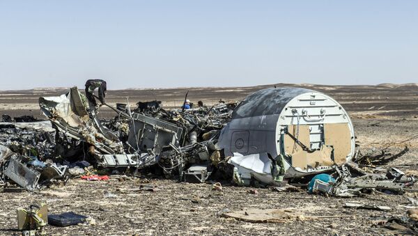 Debris belonging to the A321 Russian airliner are seen at the site of the crash in Wadi el-Zolmat, a mountainous area in Egypt's Sinai Peninsula on November 1, 2015. International investigators began probing why a Russian airliner carrying 224 people crashed in Egypt's Sinai Peninsula, killing everyone on board, as rescue workers widened their search for missing victims. - Sputnik International