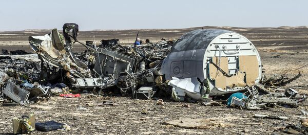 Debris belonging to the A321 Russian airliner are seen at the site of the crash in Wadi el-Zolmat, a mountainous area in Egypt's Sinai Peninsula on November 1, 2015. International investigators began probing why a Russian airliner carrying 224 people crashed in Egypt's Sinai Peninsula, killing everyone on board, as rescue workers widened their search for missing victims. - Sputnik International