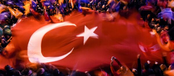Supporters of Turkey's Justice and Development Party (AKP) wave a giant Turkish flag as they celebrate in Istanbul after the first results in the country's general election on November 1, 2015. Supporters of Turkey's Justice and Development Party (AKP) wave a giant Turkish flag as they celebrate in Istanbul after the first results in the country's general election on November 1, 2015. - Sputnik International
