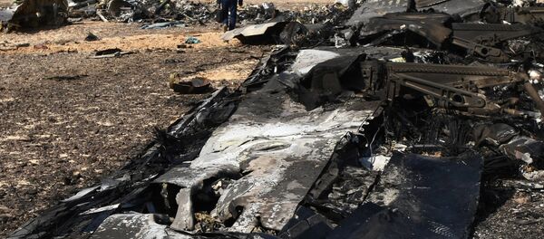 Airbus A321 crash site in Egypt Airbus A321 crash site in Egypt - Sputnik International