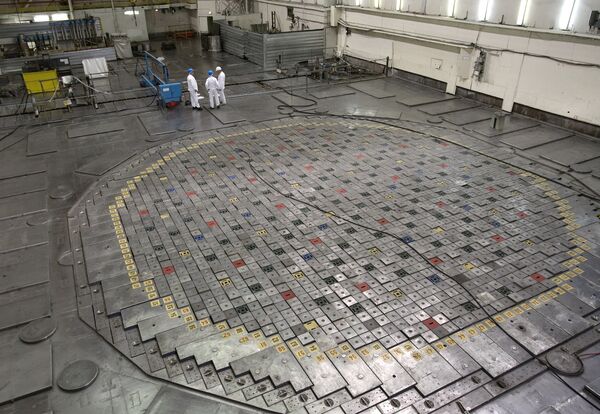The reactor of the Leningrad nuclear power plant in Sosnovy Bor - Sputnik International