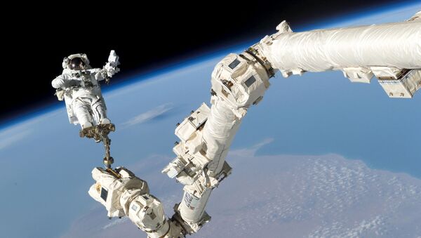 Astronaut Stephen K. Robinson, STS-114 mission specialist, anchored to a foot restraint on the International Space Station's Canadarm2, participates in the mission's third session of extravehicular activity (EVA) August 3, 2005 - Sputnik International