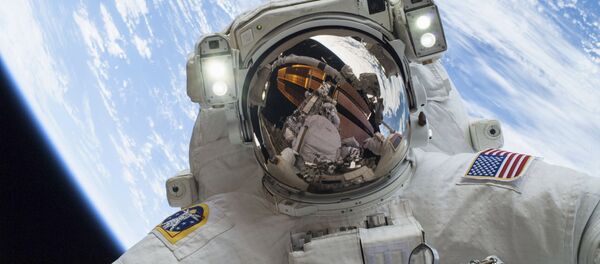 Astronaut Mike Hopkins, Expedition 38 Flight Engineer, is shown in this handout photo provided by NASA as he participates in the second of two spacewalks which took place on December 24, 2013 - Sputnik International