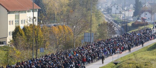 Migrants and refugee are escorted by Slovenian police officers toward the Slovenian-Austrian border crossing in Sentilj, Slovenia, Saturday, Oct. 31, 2015. Migrants and refugee are escorted by Slovenian police officers toward the Slovenian-Austrian border crossing in Sentilj, Slovenia, Saturday, Oct. 31, 2015. - Sputnik International