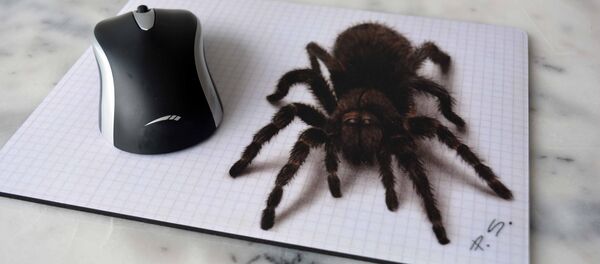 Spider - Sputnik International