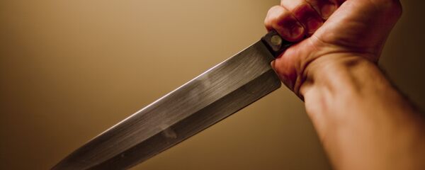 butcher knife butcher knife - Sputnik International