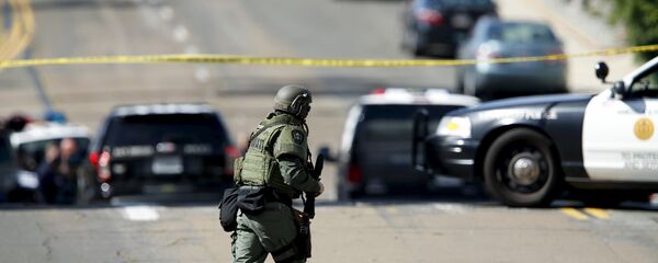 A SWAT team officer A SWAT team officer - Sputnik International