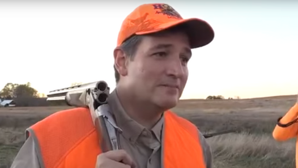 Ted Cruz on an average, run-of-the-mill pheasant hunt. - Sputnik International
