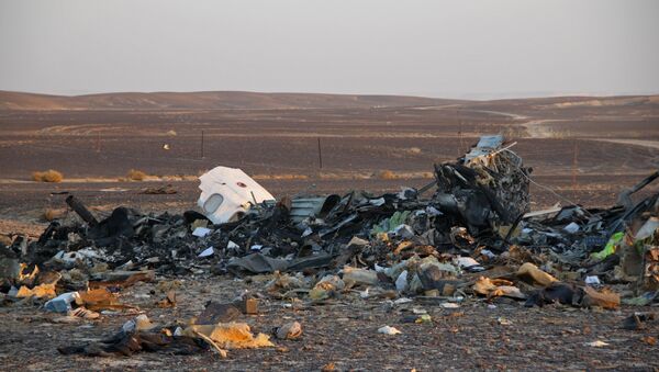 The wreckage of the Kogalymavia Airlines plane that crashed 100 km from Al-Arish on the Sinai Peninsula - Sputnik International
