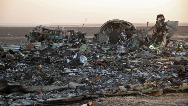 Fragments of a Kogalymavia Airbus A321 passenger airliner / Flight 9268 that crashed en route from Sharm El Sheikh to St. Petersburg in Egypt's North Sinai Governorate - Sputnik International