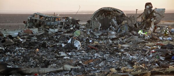 Fragments of a Kogalymavia Airbus A321 passenger airliner / Flight 9268 that crashed en route from Sharm El Sheikh to St. Petersburg in Egypt's North Sinai Governorate Fragments of a Kogalymavia Airbus A321 passenger airliner / Flight 9268 that crashed en route from Sharm El Sheikh to St. Petersburg in Egypt's North Sinai Governorate - Sputnik International