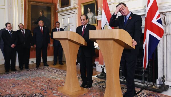 British Prime Minister David Cameron (R) reacts during a joint press conference with Egyptian President Abdel Fattah al-Sisi following their meeting inside 10 Downing Street in central London on November 5, 2015. - Sputnik International