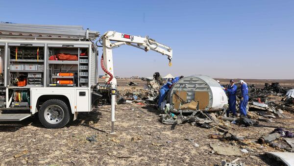 In this Russian Emergency Situations Ministry photo, made available on Monday, Nov. 2, 2015, Russian Emergency Ministry experts work at the crash site of a Russian passenger plane bound for St. Petersburg in Russia that crashed in Hassana, Egypt's Sinai Peninsula, on Monday, Nov. 2, 2015 - Sputnik International