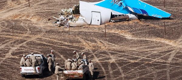 The A321 crash site in Egypt. - Sputnik International