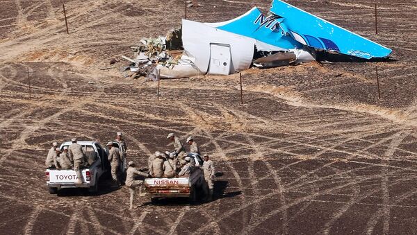 Russian Airbus A321 passenger airliner crash site in Egypt - Sputnik International