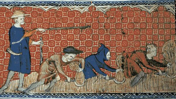 Queen Mary's Psalter shows men harvesting in 14th century Europe - Sputnik International