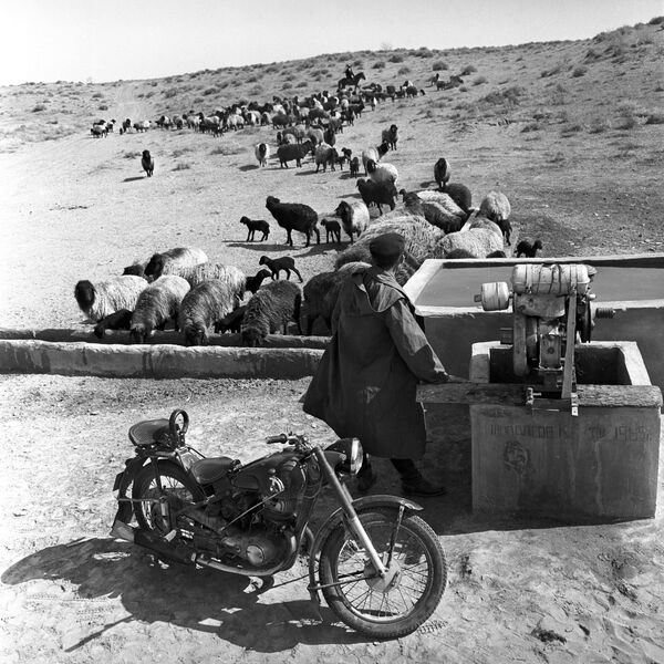 Need For Speed: 130 Years Ago First Iron Horse Hit the Streets - Sputnik International